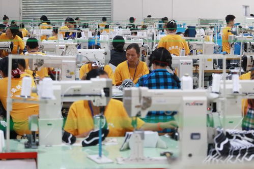 小康圓夢丨對口幫扶工廠開在家門口 村民就業掙錢不用出遠門